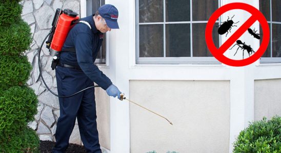 Buca Kemirgen İlaçlama böcek ilaçlama ve haşere kontrolü — ilaclama-tr.com